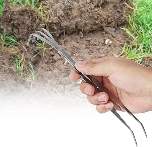 Miniatura 5 de Rastrillo para bonsái, rastrillo de raíz de acero inoxidable 2 en 1 de 9.8 pulgadas, rastrillo de raíz de 3 puntas, herramientas de bonsái de suelo,