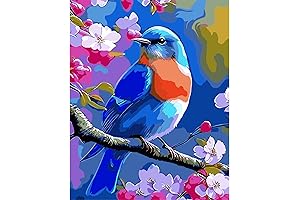 Paint by Numbers for Adults: Escape into Nature with Bird-Themed Kits