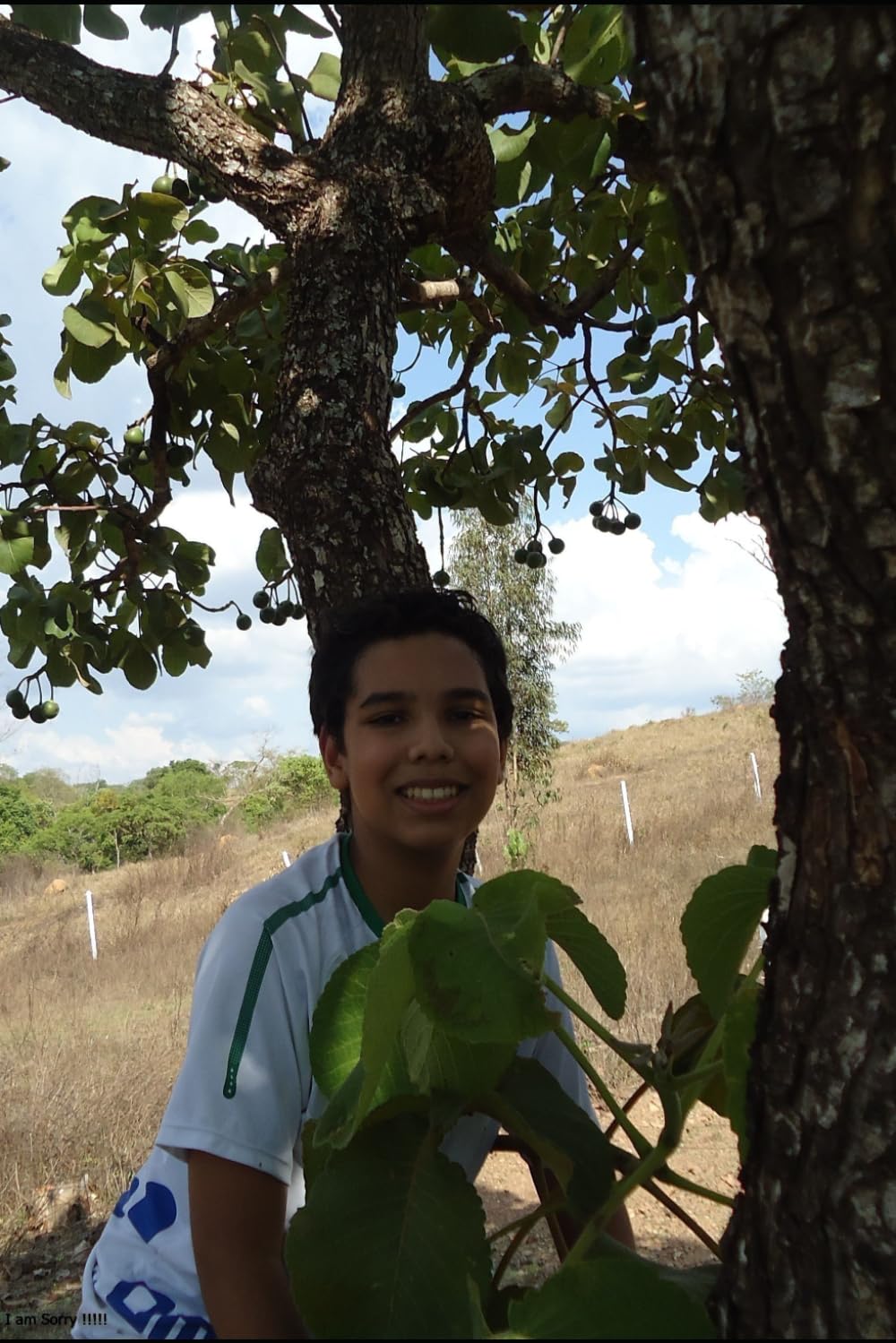 O Menino catador de pequi (Portuguese Edition)