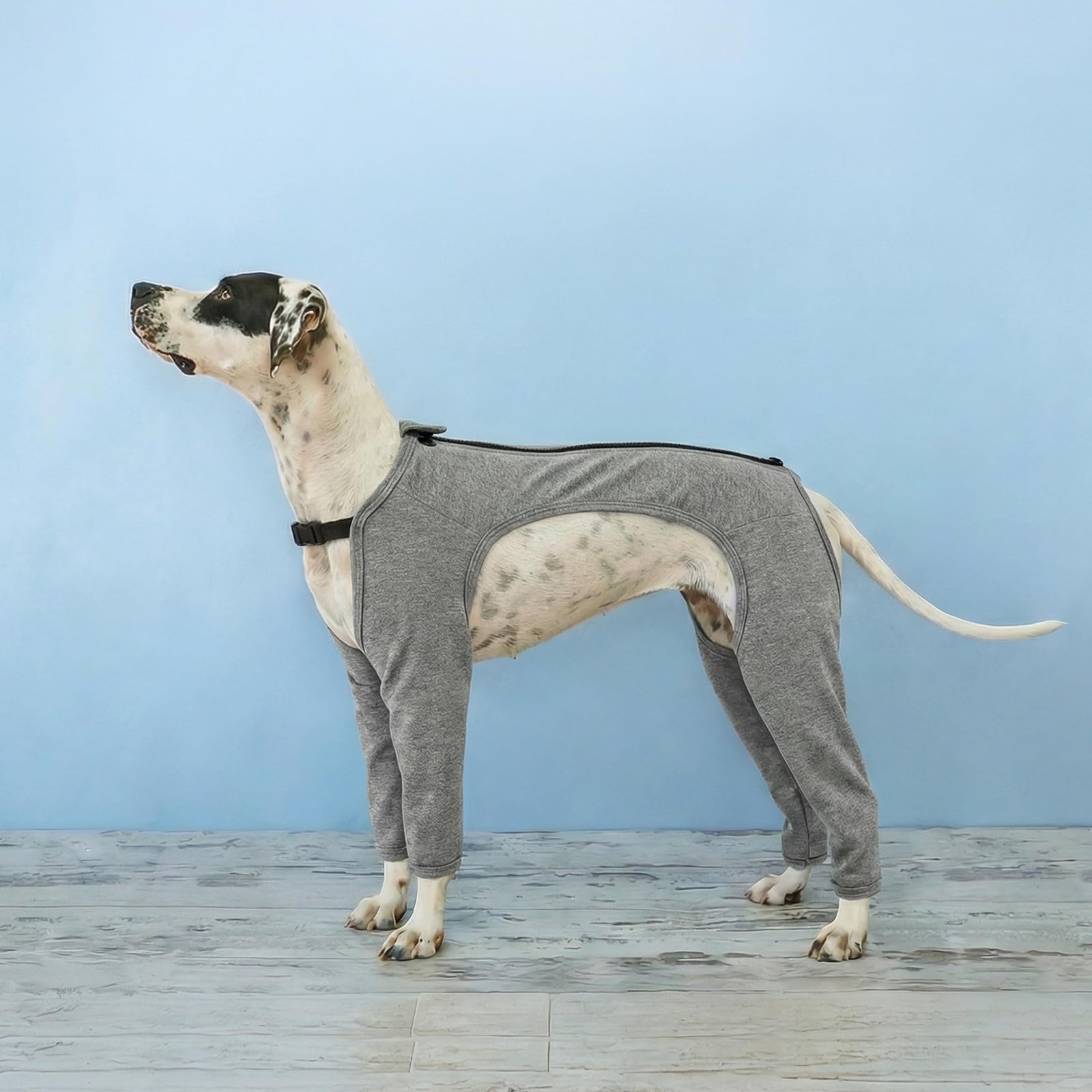 PUMYPOREITY Body Post Operatorio Perros, Doux Body Postoperatorio Perro Hembra Léger Body De Protección Traje Protector Pierna Después De Una Cirugía De Tplo/Ligamento Cruzado Anterior(Gris, XL)