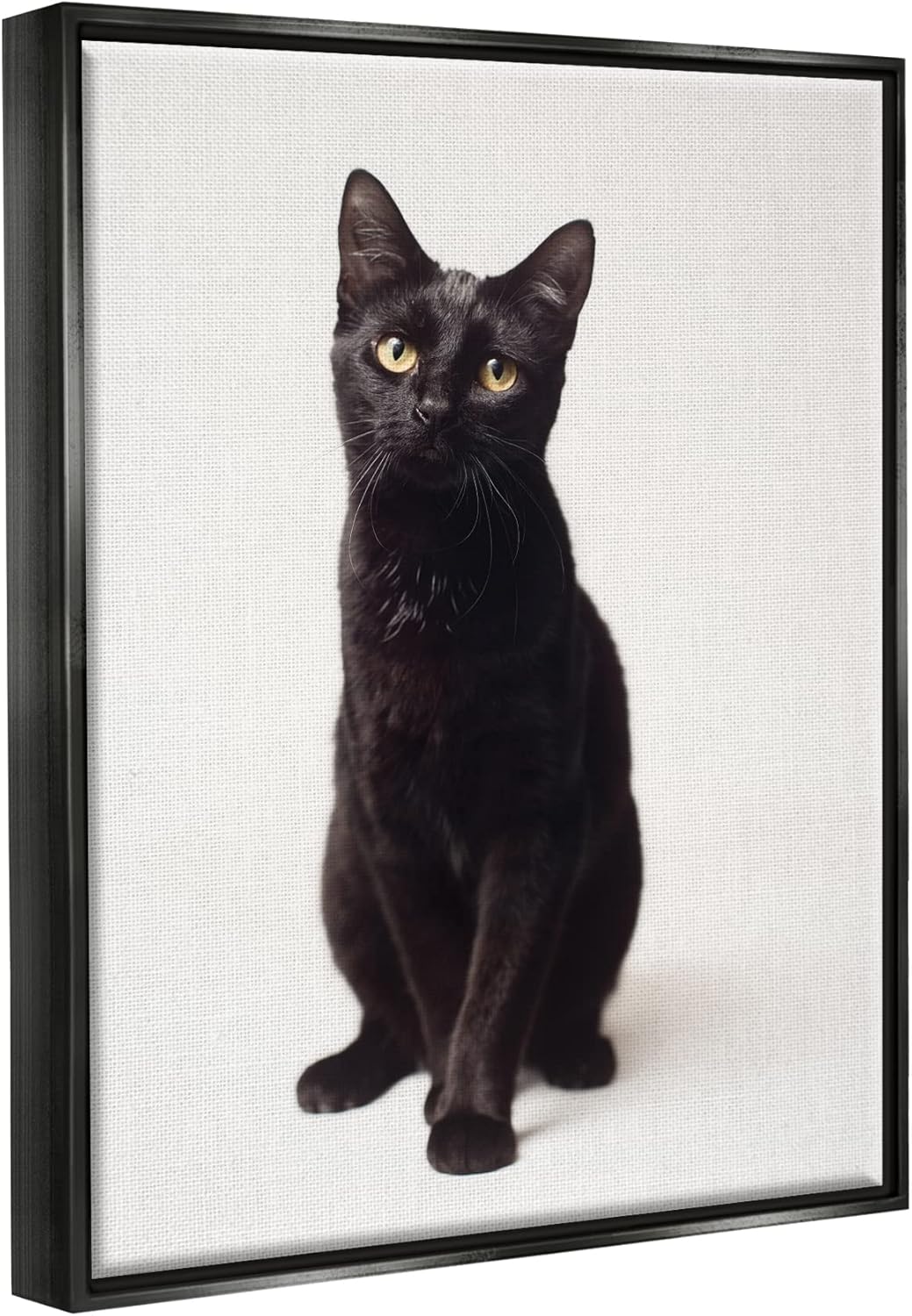 予約販売 本 Stupell Industries かわいい黒猫 表情豊かな目 ペットポートレート Marika Moffitデザイン Applepress Ca