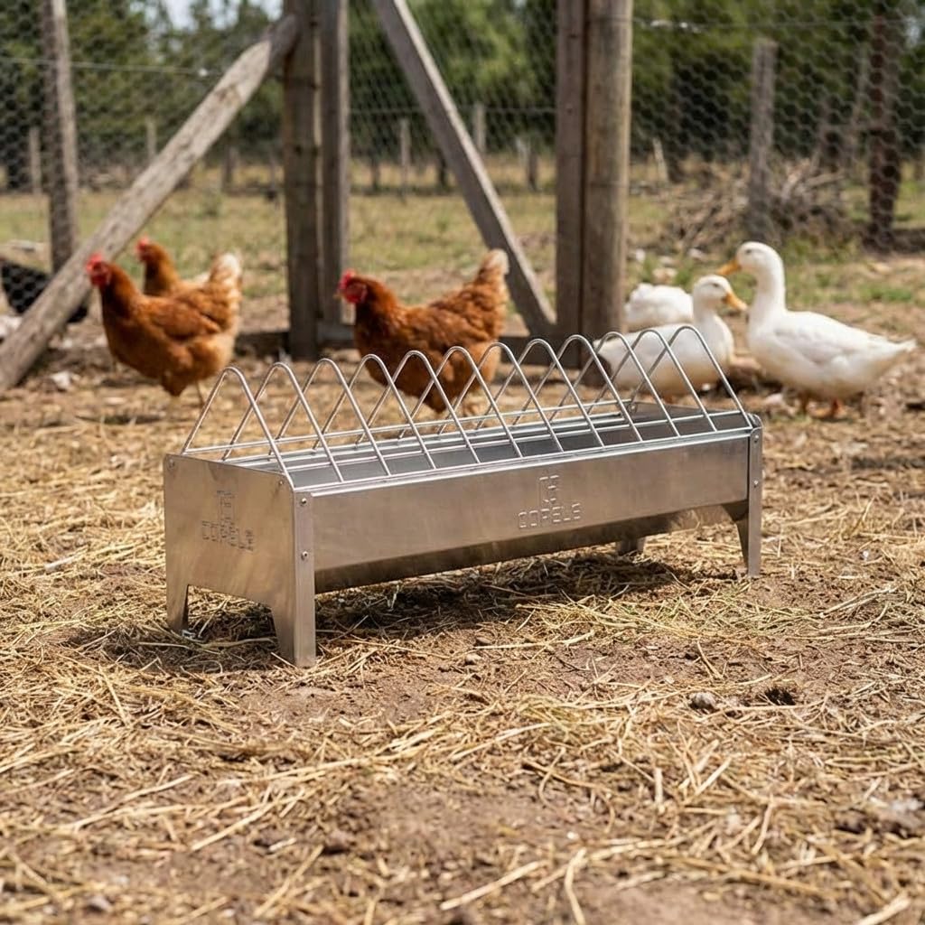 Suinga Comedero para Corral sin Patas | 56x20x25 cm| Uso Exterior | Fácil Limpieza | Ideal Aves de Corral | Alta Capacidad de alimento