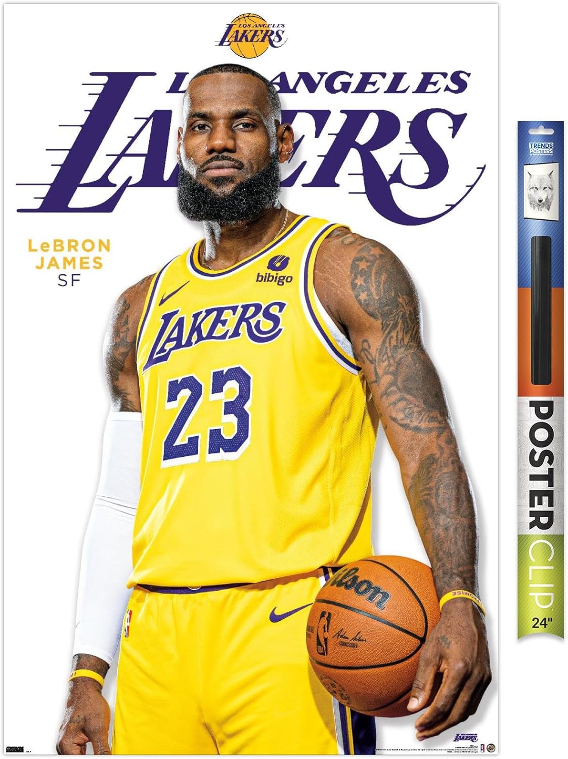 NBA Los Angeles Lakers - LeBron James Feature Series 23 Wall Poster, 34L" x 22.4W", Silver Framed Version
