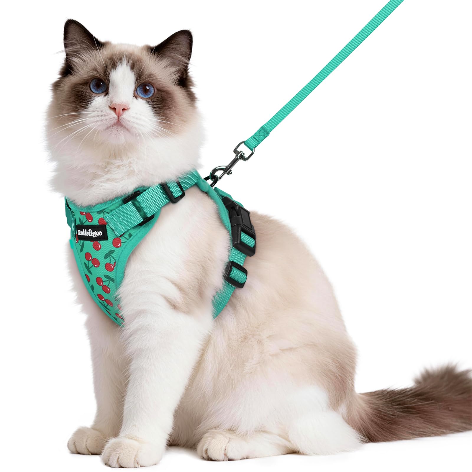 rabbitgoo Cat Harness and Leash Set, Escape Proof Vest, Cherry Grove