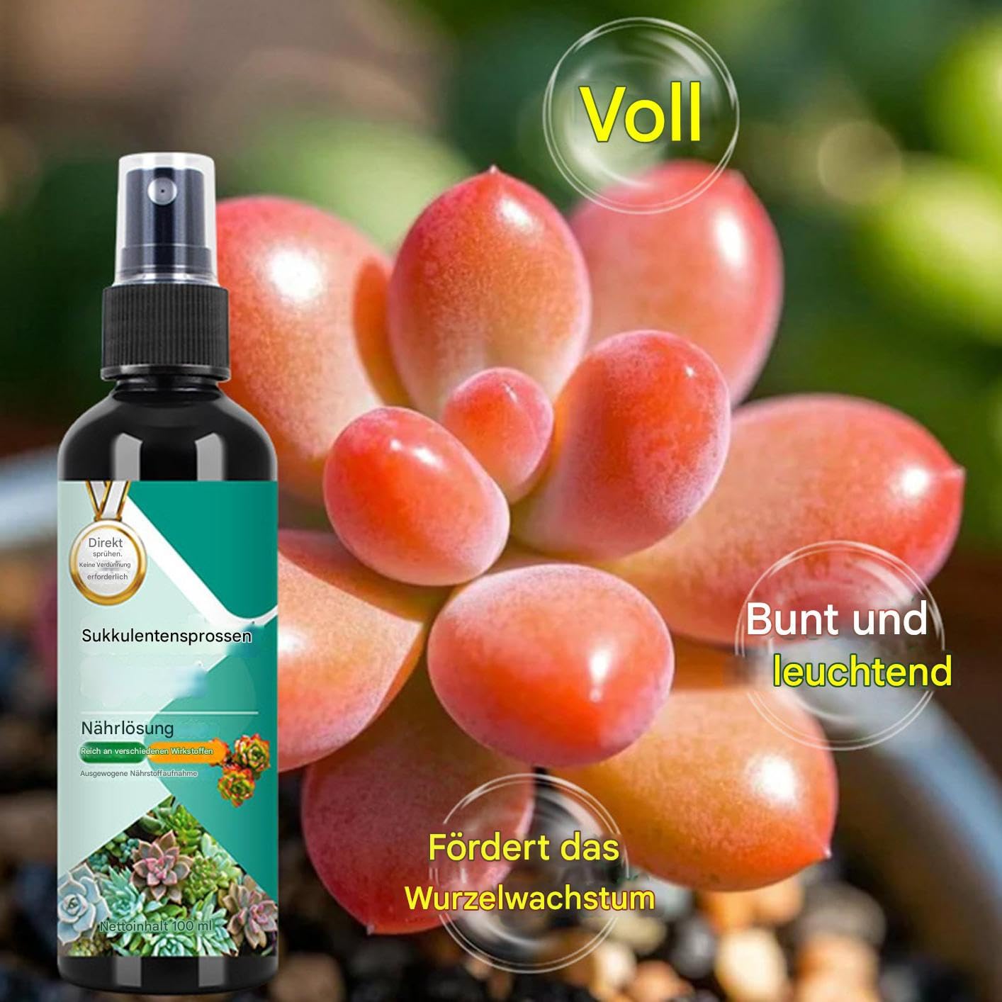 Kakteen Dünger - Sprossenstärker Spray Für Kakteen Und Sukkulenten | 100ml Langzeit-Sprühdünger Für Wachstum Und Vermehrung