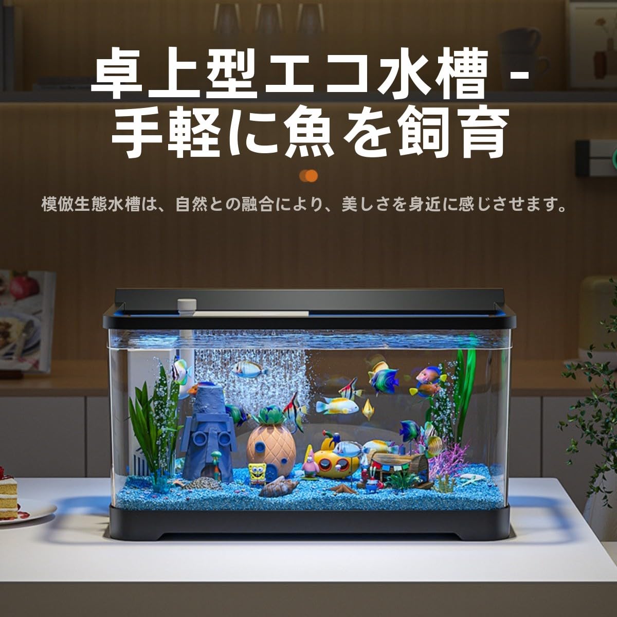 hase443　水槽 Amazon | Traxomi 水槽アクアリウム 中小型エコ水槽 4K 超白高透 自