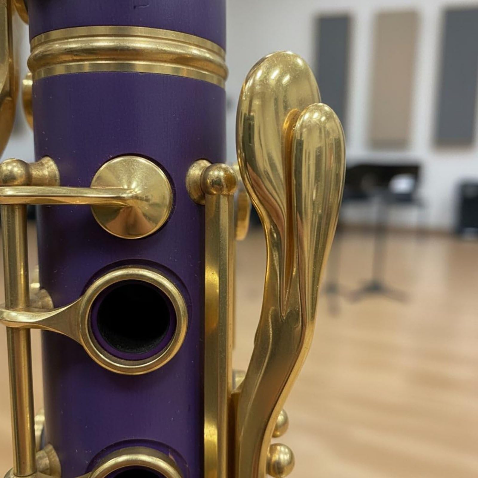 Clarinetto in Si Bemolle Include Accessori Clarinetto Colorato Buona Tenuta All'aria Strumento Musicale per Principianti per Scuola di Musica, Blu Lago