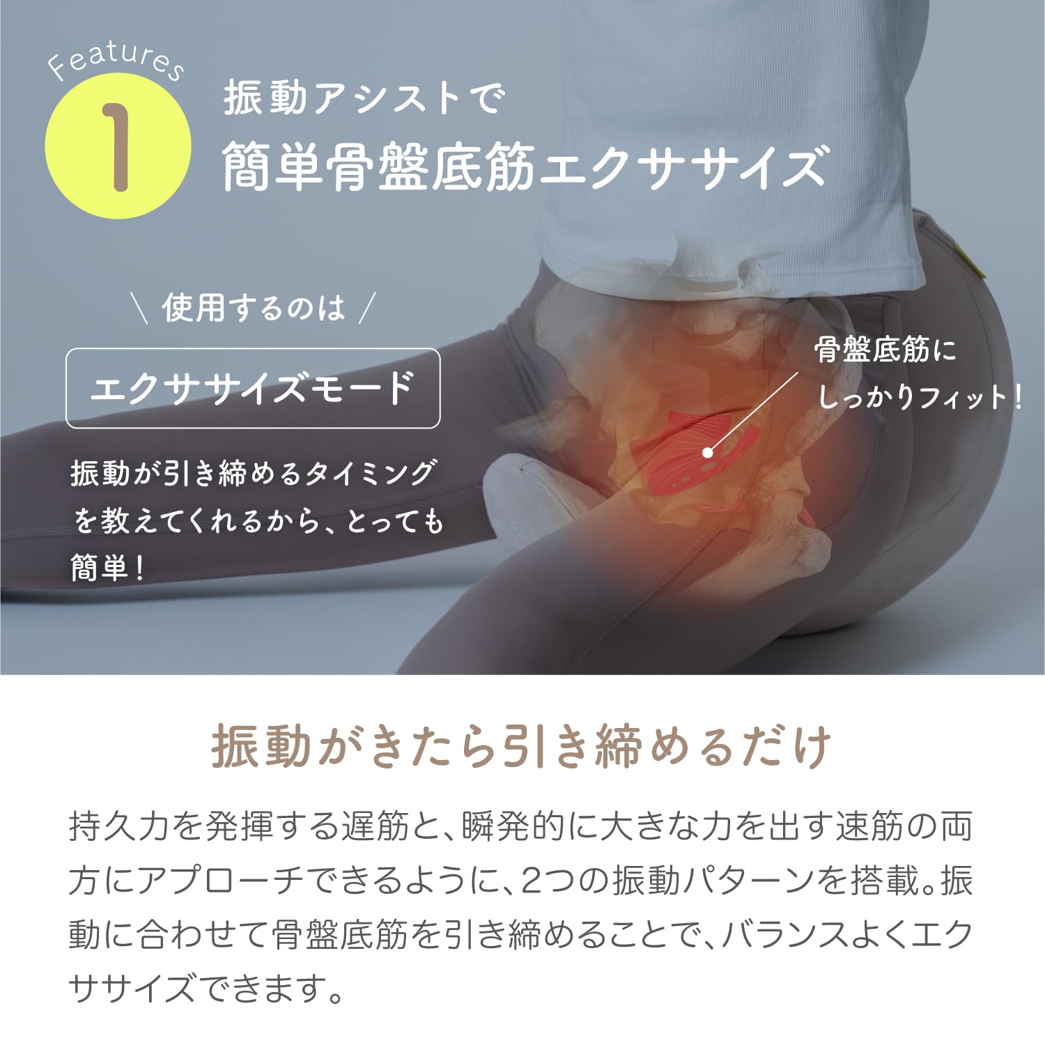 Amazon.co.jp: 【骨盤底筋 エクササイズクッション】hermot