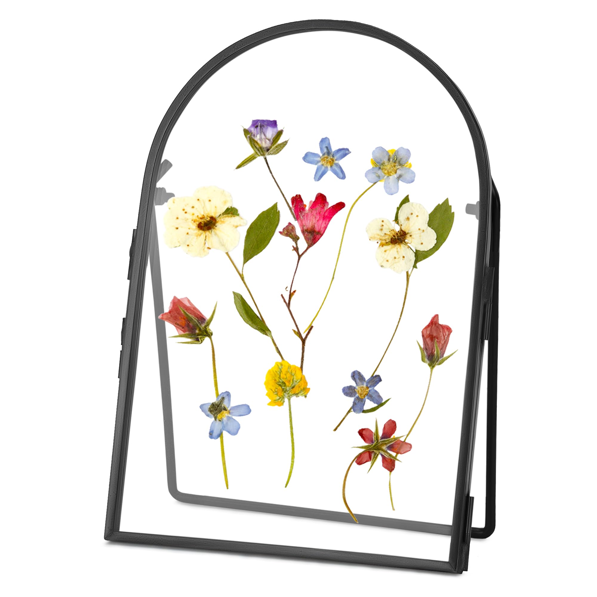 REDHUGO Double Glass Frame for Pressed Flowers Handmade, Metal Floating Picture Frame for Pressed Flower, Tabletop Display, Brass, Arch Shaped, Black, 4x6 inches (FRAME ONLY)