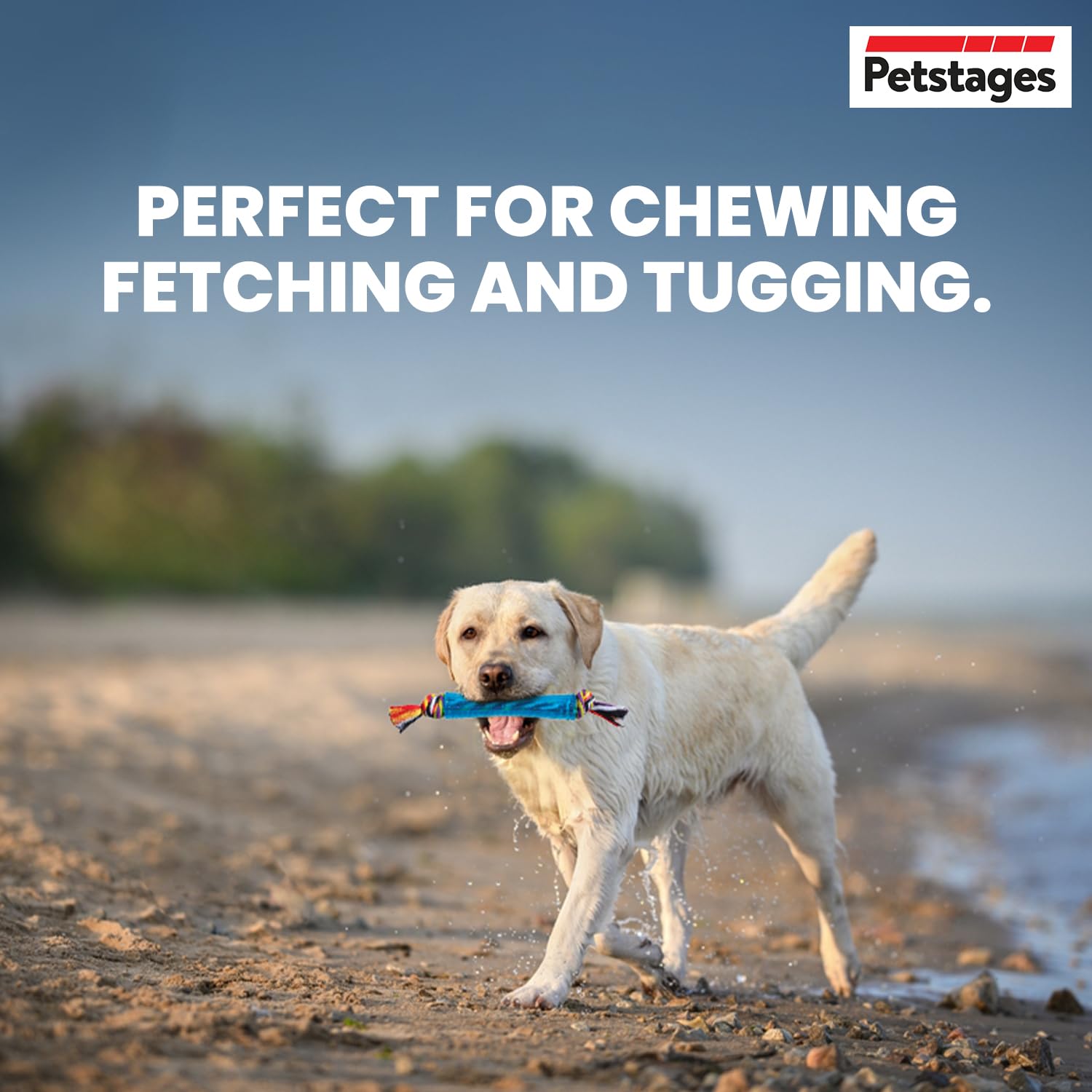 Outward Hound Orka Stick Dog Chew Toy – Durable TPE Rubber Chew Toy for Dogs, Easy to Carry & Fetch, Helps Reduce Soft Tartar, Supports Dental Health, Royal Blue Dog Toy – 30 cm 4