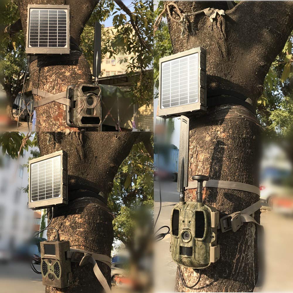 Panel Solar Recargable, 14W 8000mAh 12V/1.2A 9V/1.6A 6V/2.4A IP54 Cargador a Prueba de Agua con Cables para Todas Las cámaras 3G 4G Trail Hunting Game y luz LED de 12V WG-8000