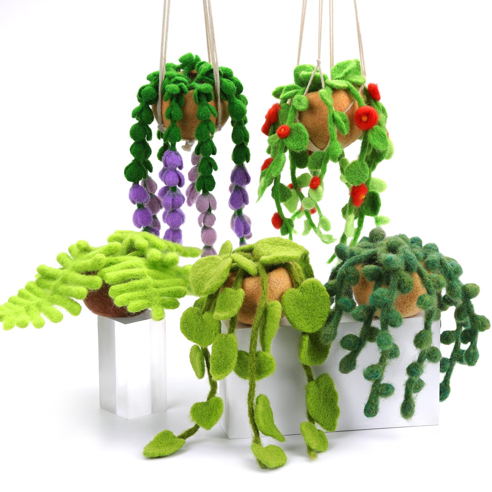 Easusy Needle Felting Kit, 5 Pack Hanging Plants Needle Felt Beginner Kit, Including Felting Tools, Instructions, Needle Felt Craft Kit for Office and Home Decor