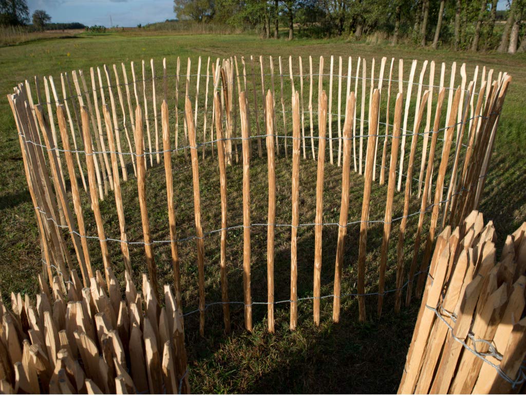 Panneau de jardin en noisetier tressé 120 cm – Barrière naturelle pour plantes grimpantes, saules ou étangs – Fil d’acier, couleur naturelle, longueur 500 cm, baguettes 3-4 cm