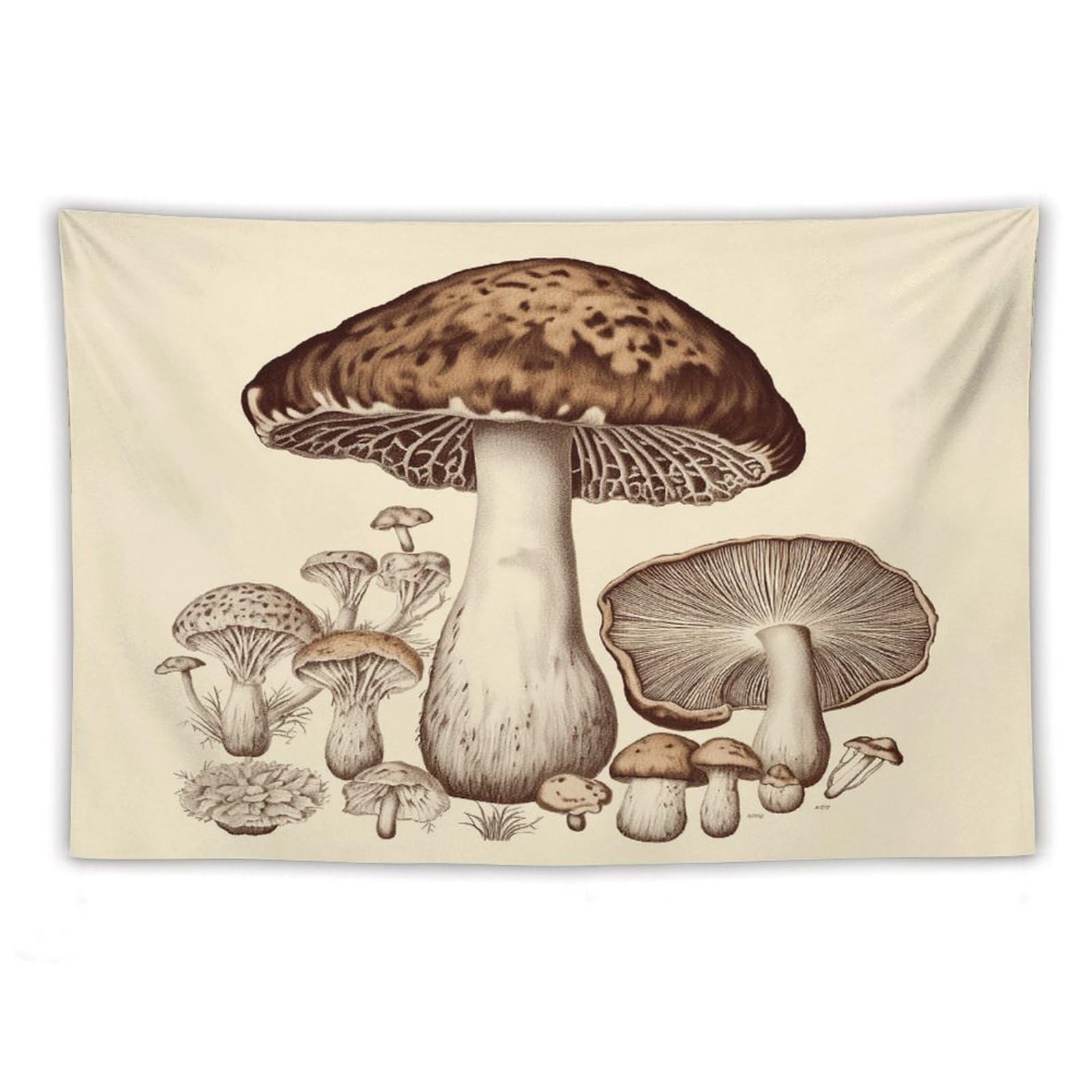 LDGSUPH Vintage Mushrooms Drawing Tapestry Wall Hanging Decor Anti-fading Aesthetic Wall Tapestries Fashion Wall Blanket Decor Modern Wall Art Tapestry for Bedroom Home Decor 40"x60"