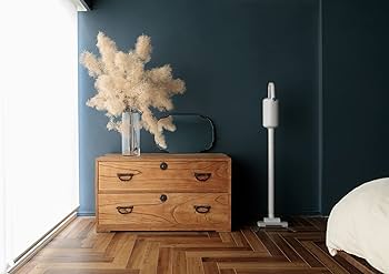 Amazon | ±0 プラスマイナスゼロ スティッククリーナー コードレス