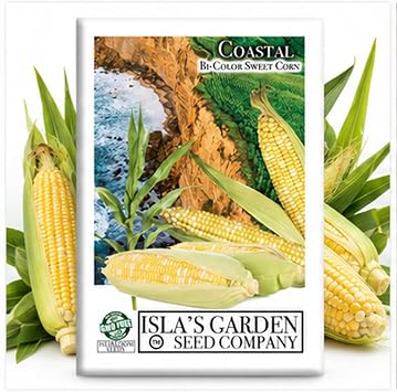 Bi-Color Sweet Corn Seeds Zea mays Coastal Orgin & Variety 50+ Non-GMO Seeds by Islas Garden Seeds, Yellow & White Super Sweet Variety for Planting in Backyard Garden Rows, Excellent for Grilling