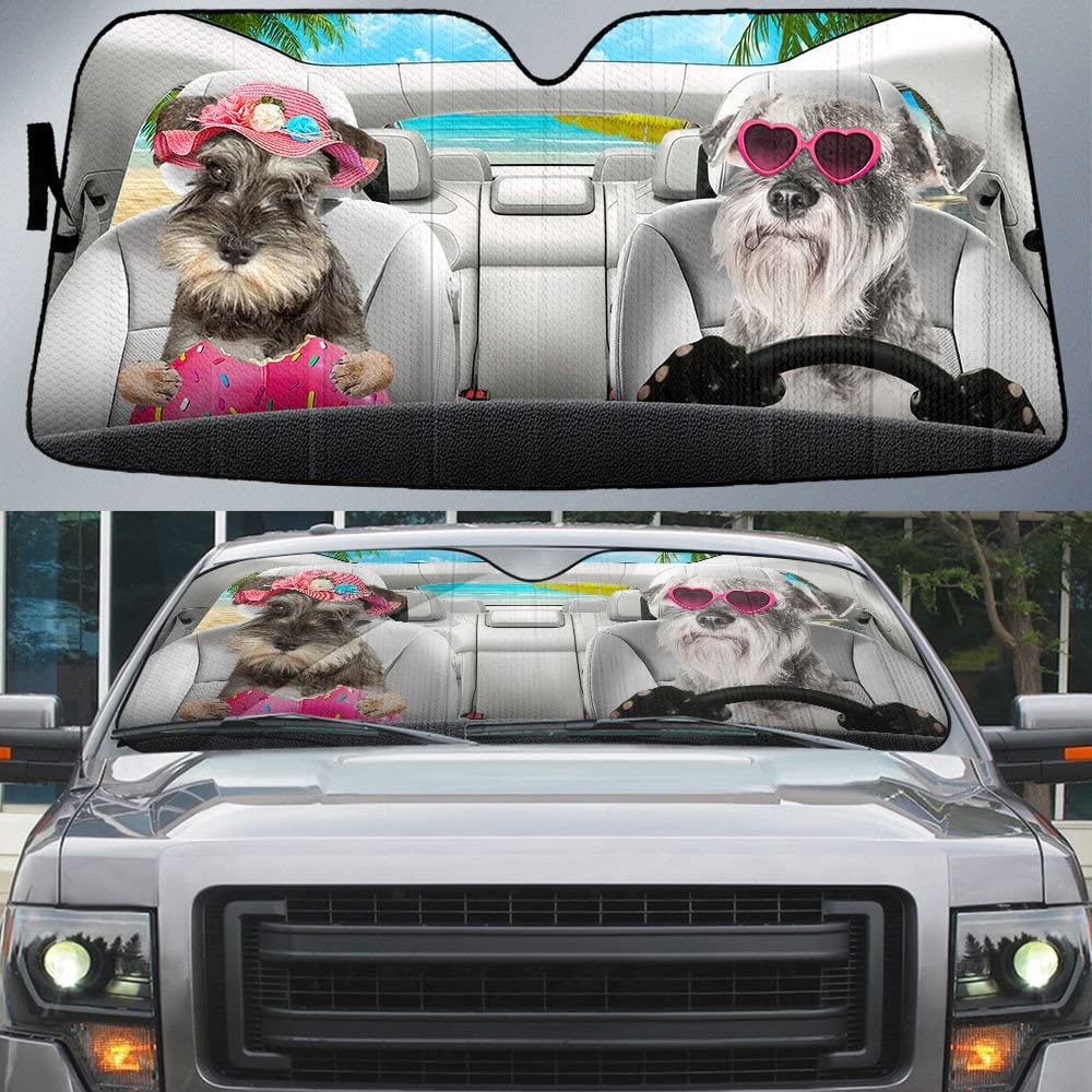 Protector solar parabrisas para evitar calor interior en coche SUV 4