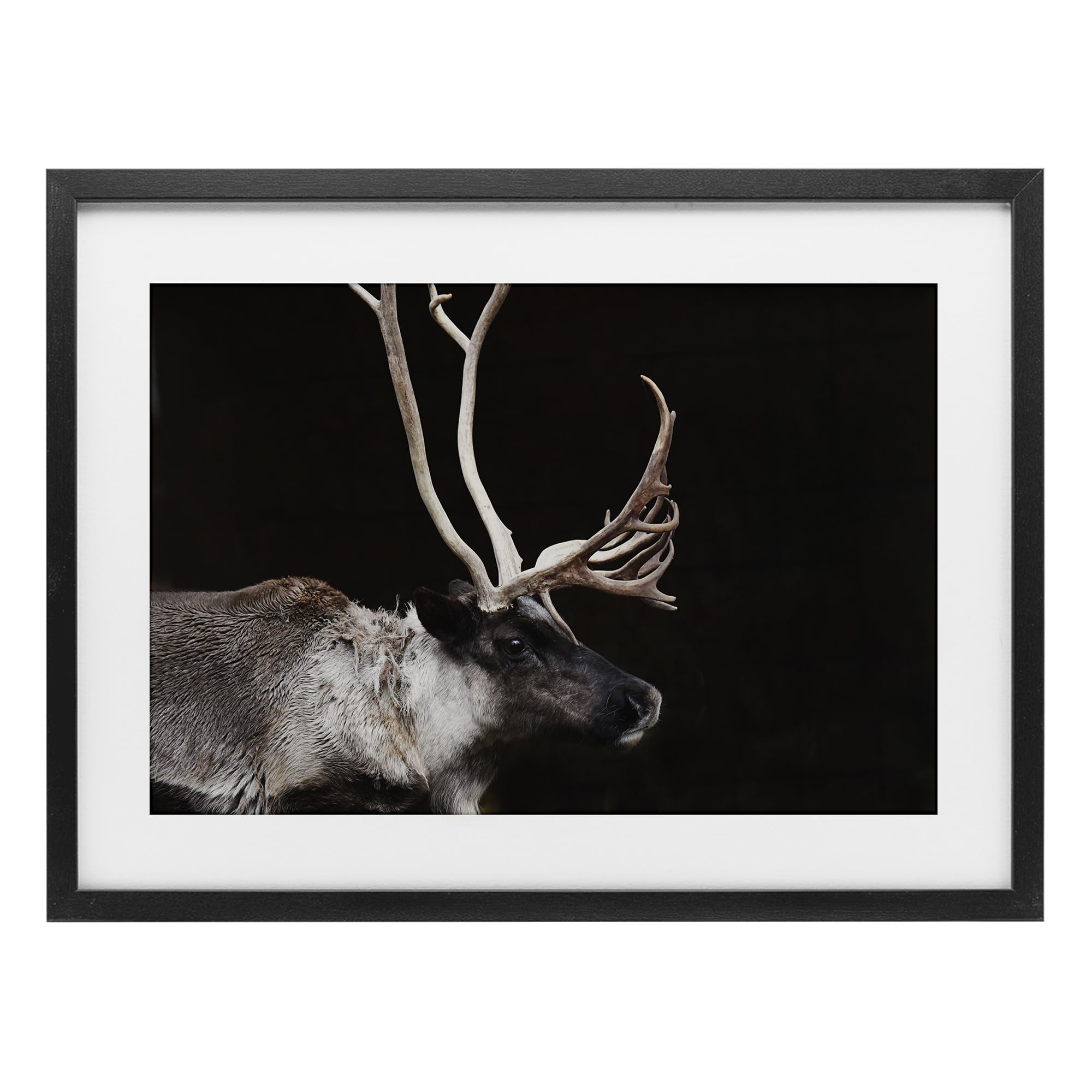Stupell Industries 'Dark Reindeer at Night', Framed Print Under Glass, Black, 23 x 17