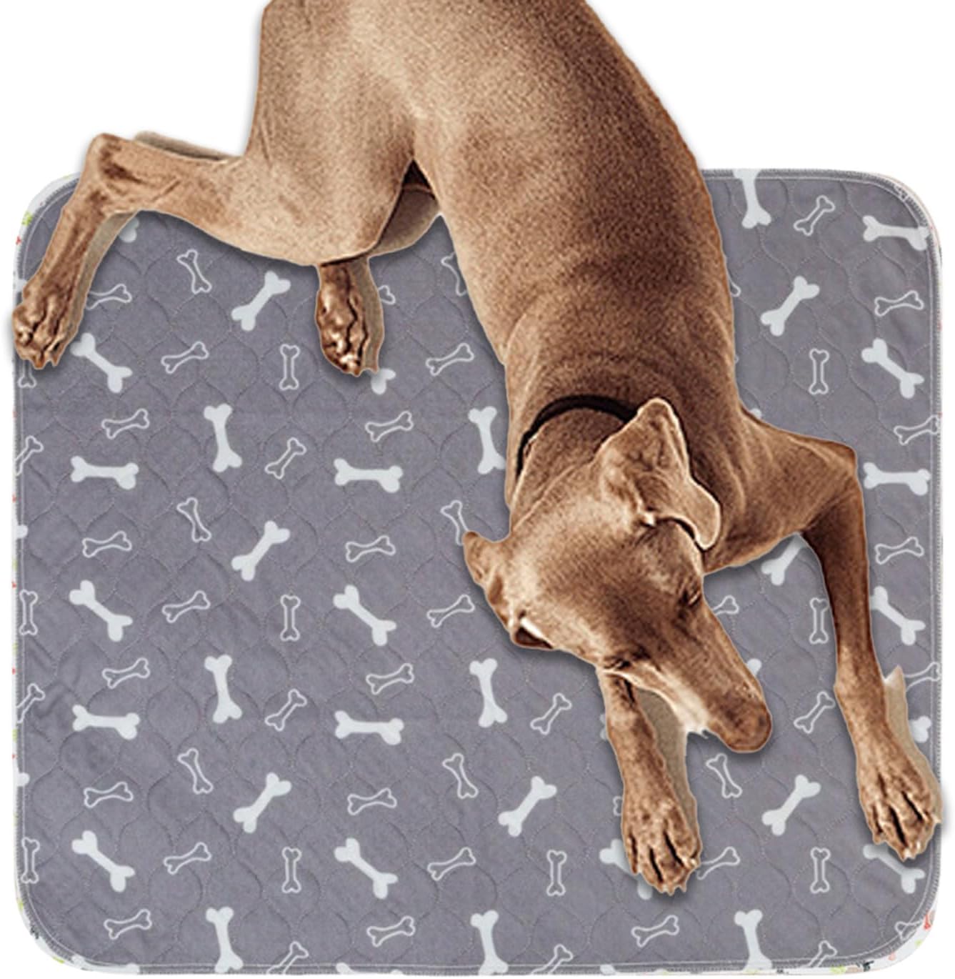 Tappetino antiscivolo per cani, facile da pulire, riutilizzabile, lavabile, assorbente, per scatola da viaggio, lettiera per gatti,