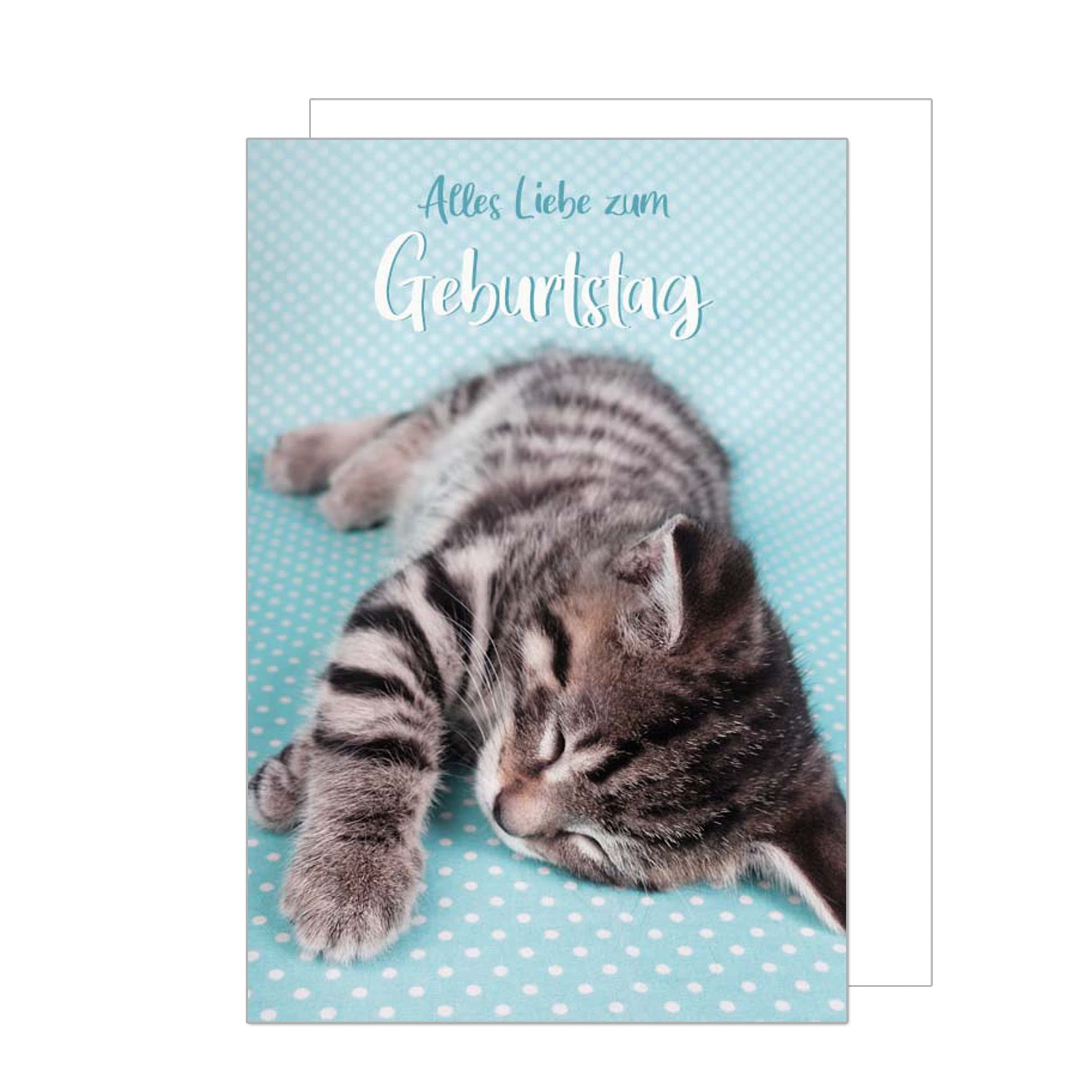 Edition Seidel Premium Vierkante Verjaardagskaart met Enveloppe Wens Gelukkige Verjaardag Voor Hem of Haar Vrouwelijk Mannelijk Tiener Kinderen Cool Grappig Kat Dieren (GQ152 SW024