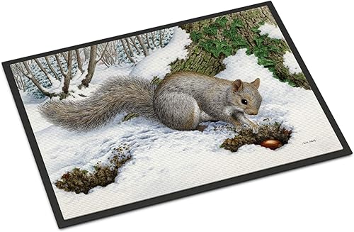 Caroline's Treasures ASA2180MAT - Tapete gris de ardilla de 18 x 27 pulgadas, tapete para puerta delantera, interior y exterior, para entrada,