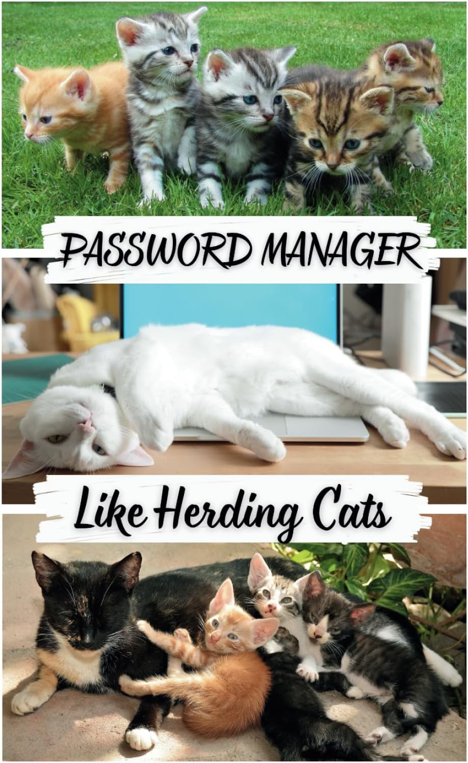 Alphabetical Password Log Book: Username and Internet Password Keeper Notebook with Tabs Password Manager: Like Herding Cats