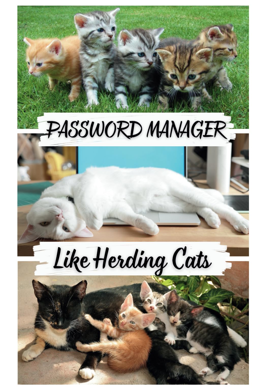 Alphabetical Password Log Book: Username and Internet Password Keeper Notebook with Tabs Password Manager: Like Herding Cats