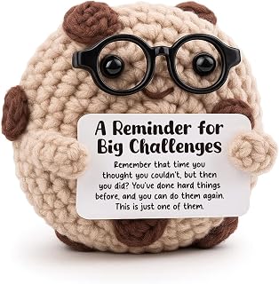 Encouragement Gifts for Women Facing New Challenges | You Are Stronger Than You Think Gift for New Mom, Entrepreneur | Sentimental Desk Decor | Inspirational You Can Do It Gift for Career Change