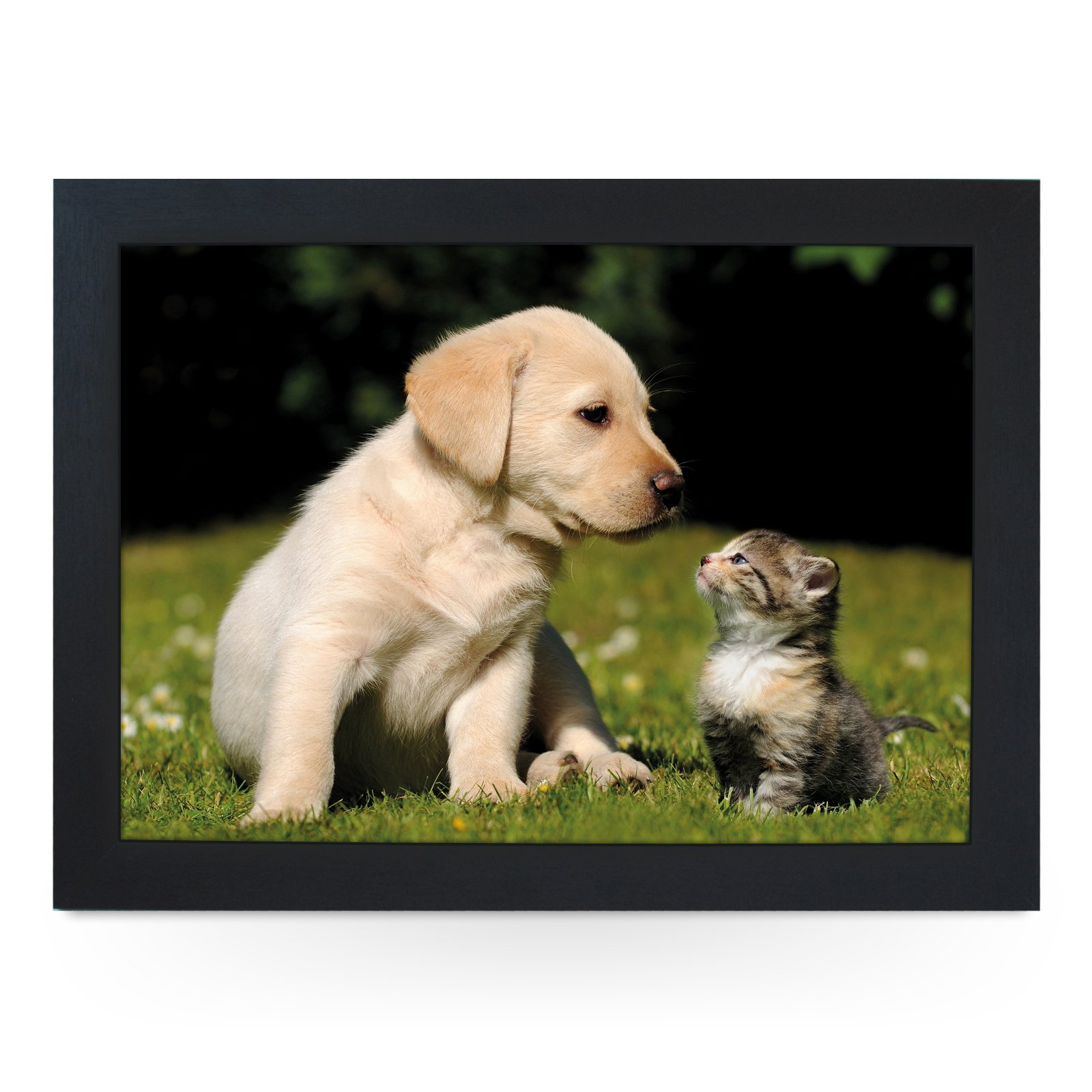 Yoosh Black Portable Lap Desk Tray (Puppy And Kitten) Handmade Wooden Frame, Beanbag Cushioned Bottom | Computers, Laptops, Meals, Food | L0219