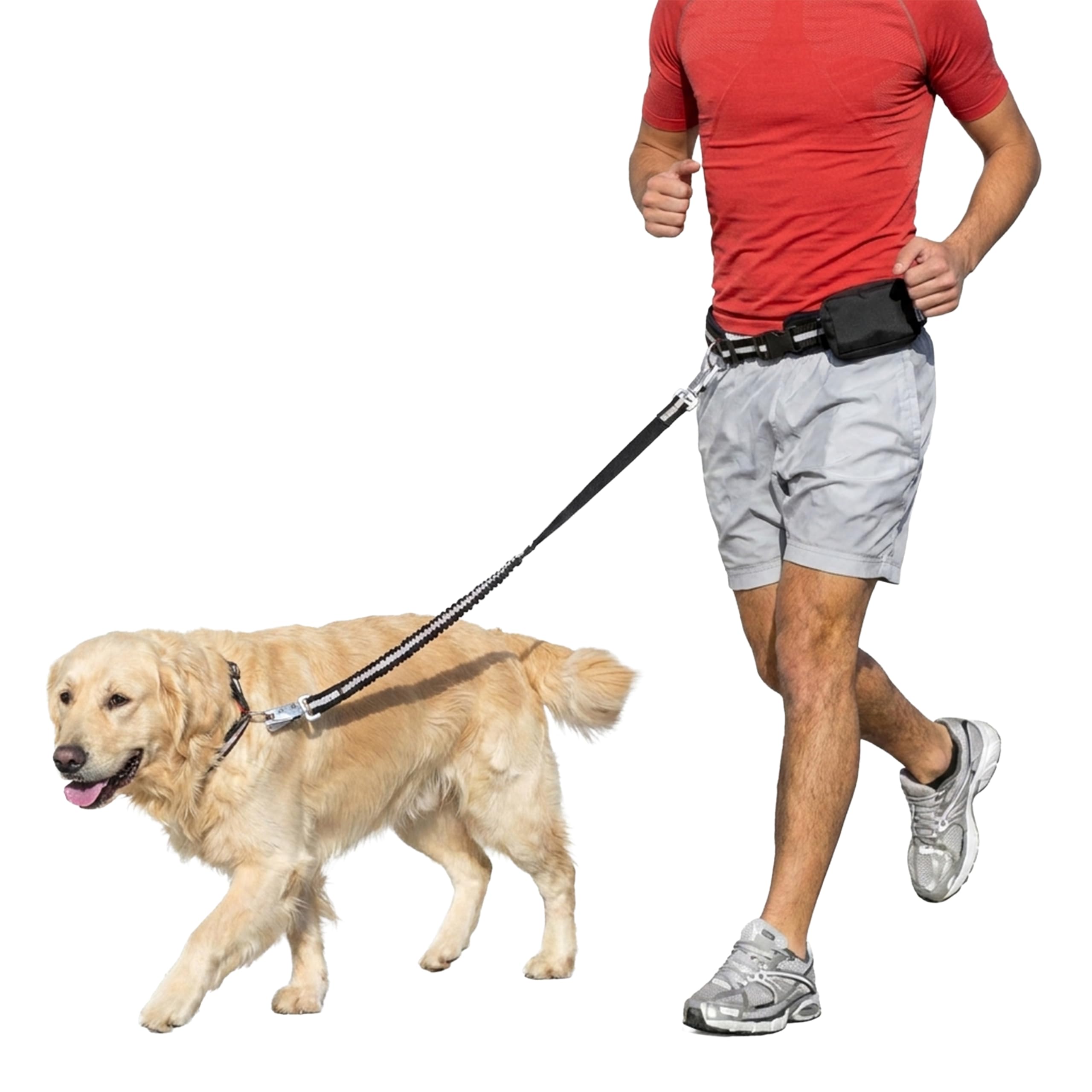 Ferplast Correa para Perro Freetime Running, Completa con cinturón y Bolsa de Almacenamiento, Extremo elástico, Ø 70÷130 cm, Gris