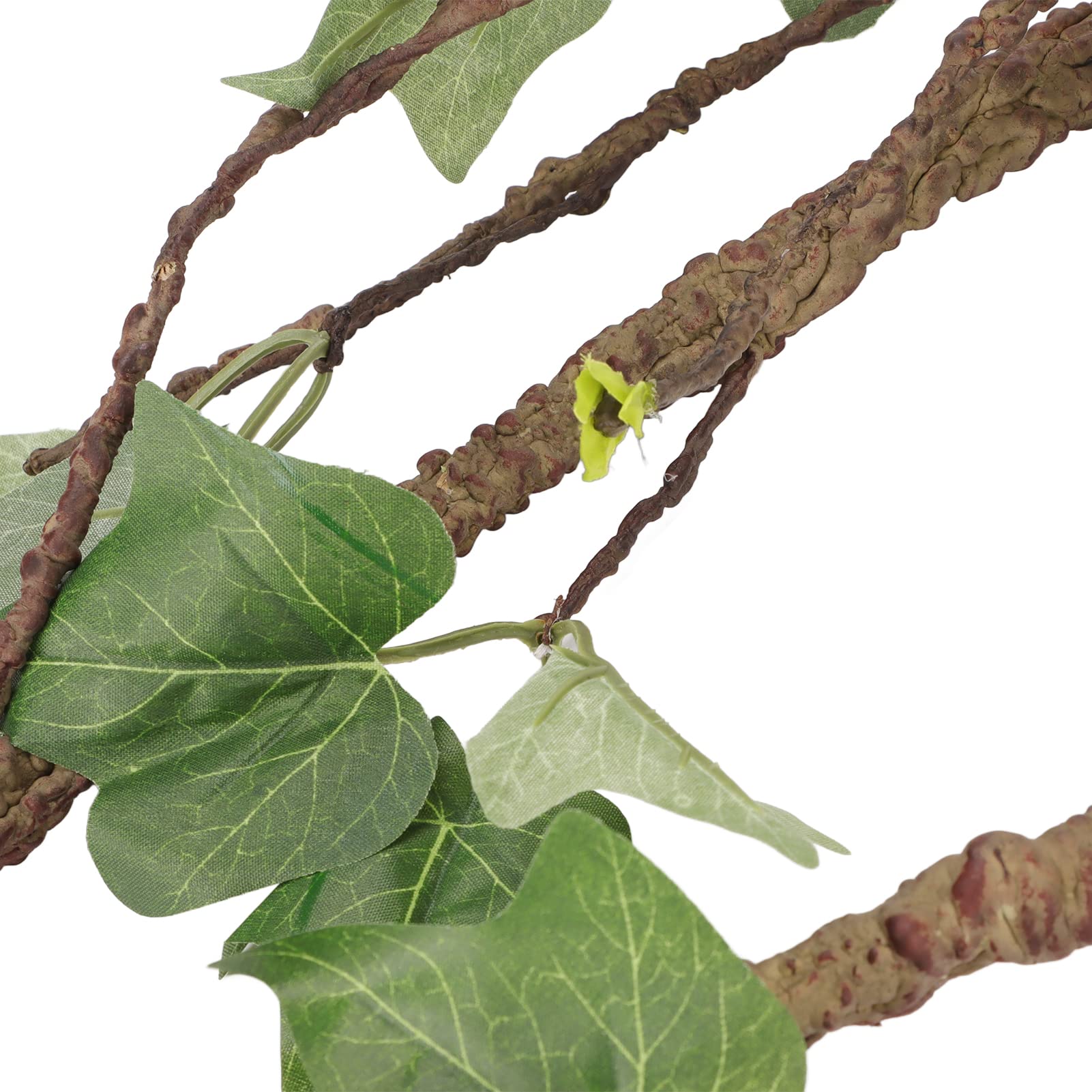 Branches de Reptiles, Vignes de Reptiles avec Ventouses, Branche d'angle de Reptile, Décoration de Plantes de Terrarium, Plantes de Reptiles pour Amphibiens, Lézards, Serpent,