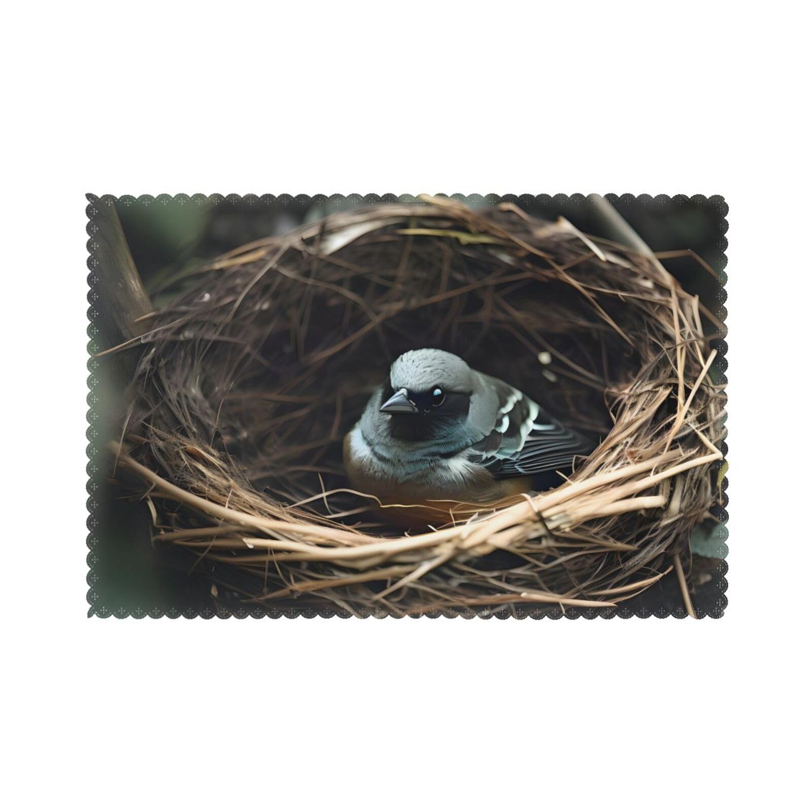 Little bird nest Placemat set of 6, oil-proof and insulated dining table placemats, washable and wipeable.