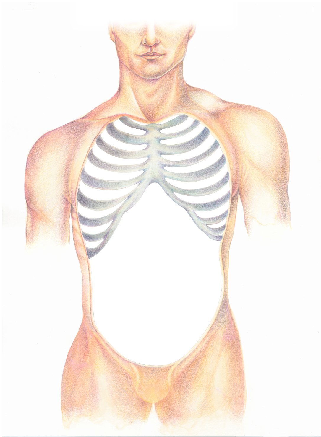 Atlas of the Human Body