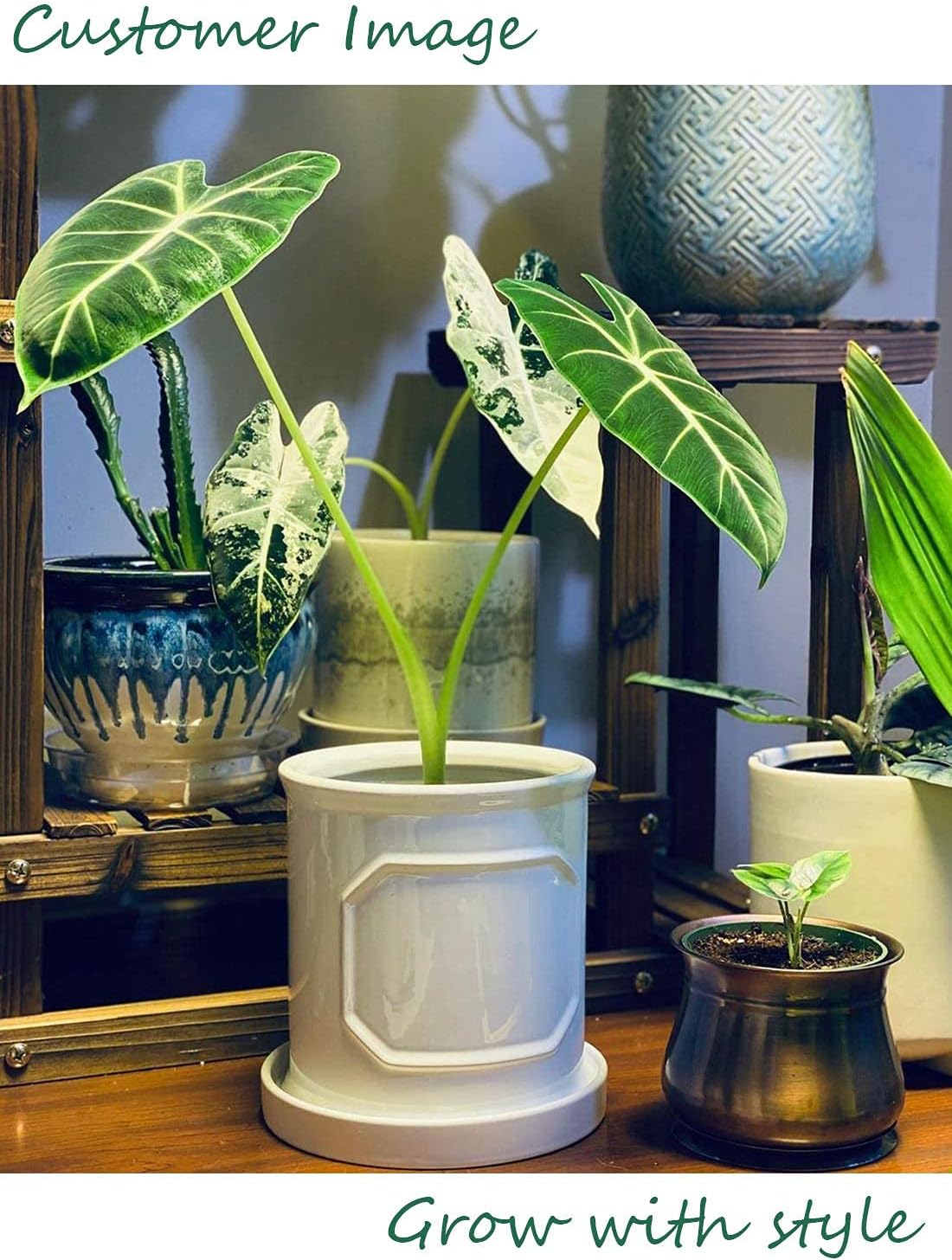 POTEY 6.2 Inch White Planter Pots for Plants Indoor - Cylinder Flower Planters Bonsai Container with Drainage Hole & Saucer for Modern Home Decor 050201, Plant NOT Included