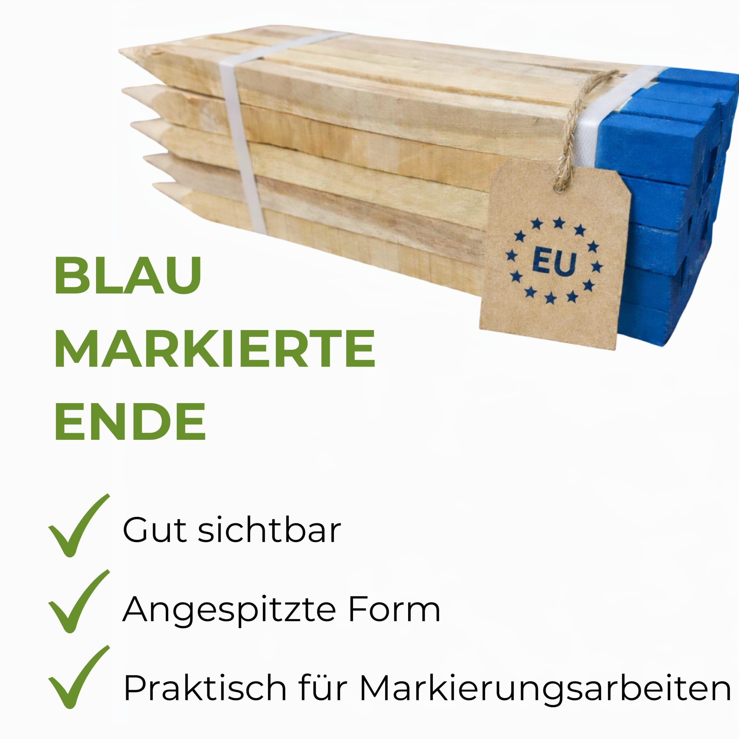100 Holzpflöcke Buche 40 cm 25x25 mm mit Blauer Spitze
