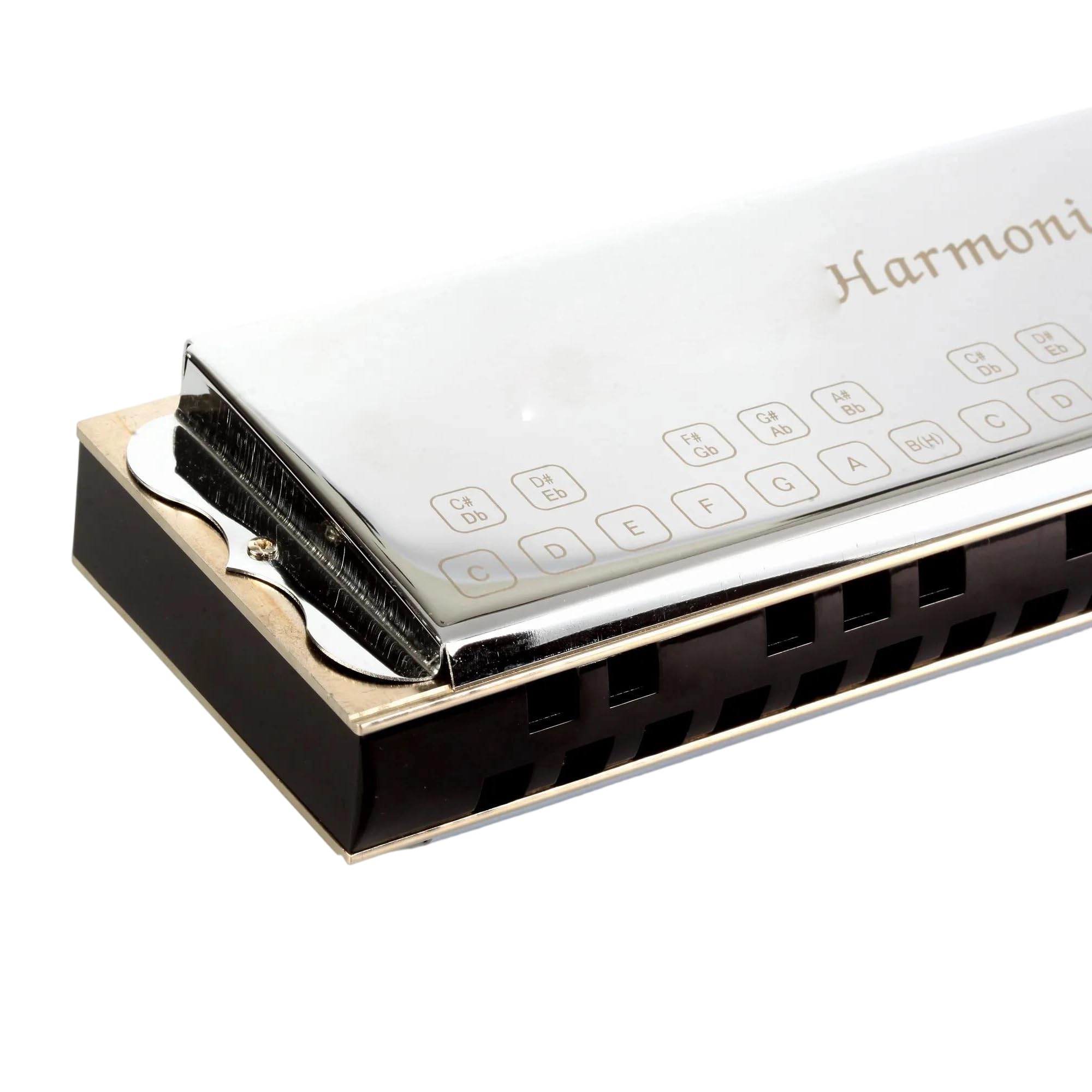 Harmonijka Harmonijka Basowa