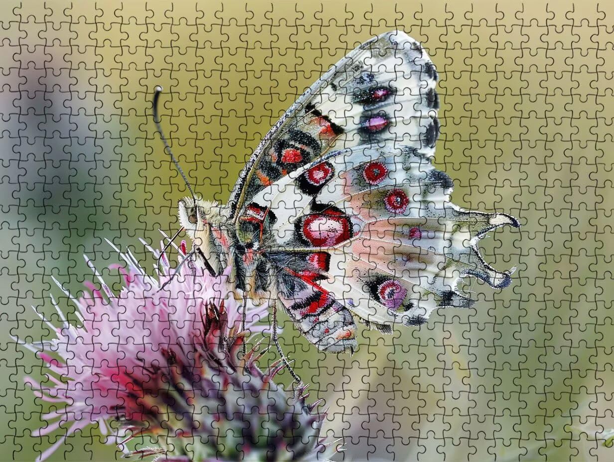 Puzzle z motywem motyla, 4000 elementów, puzzle dla dorosłych, dorosłych, nastolatków, do aktywności w domu, trudne gry rodzinne, klasyczne puzzle jako prezent i dekoracja ścienna R3KH-339