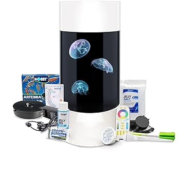 Amazon.com : Jellyfish Art Jelly Cylinder 5 (Aquarium only