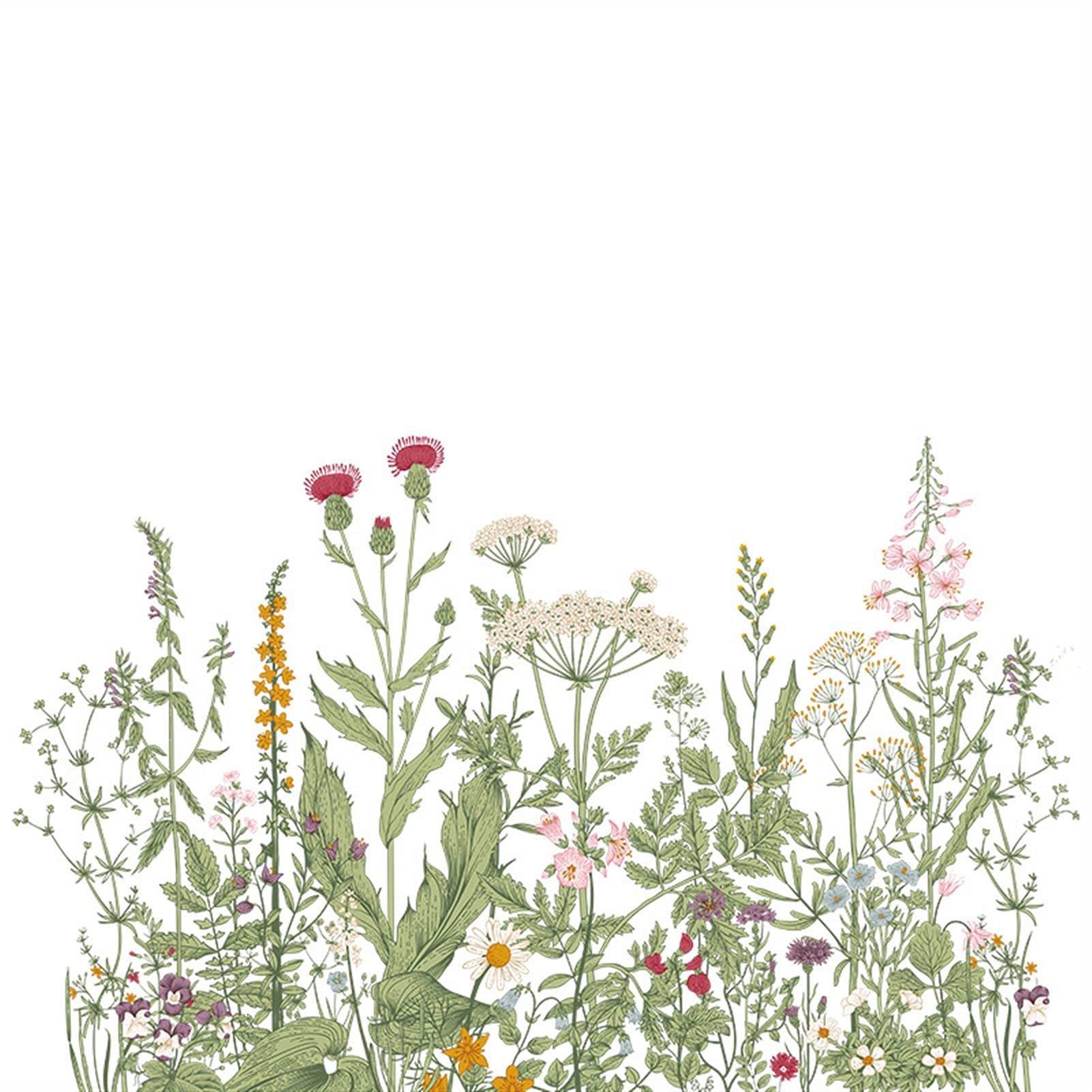 Adesivi ​Murali Wall Sticker Fiore pianta di Erbe di Campo Wall Sticker Soggiorno Camera da Letto PVC. Sfondo Wallpaper (Size : 60x90cm)
