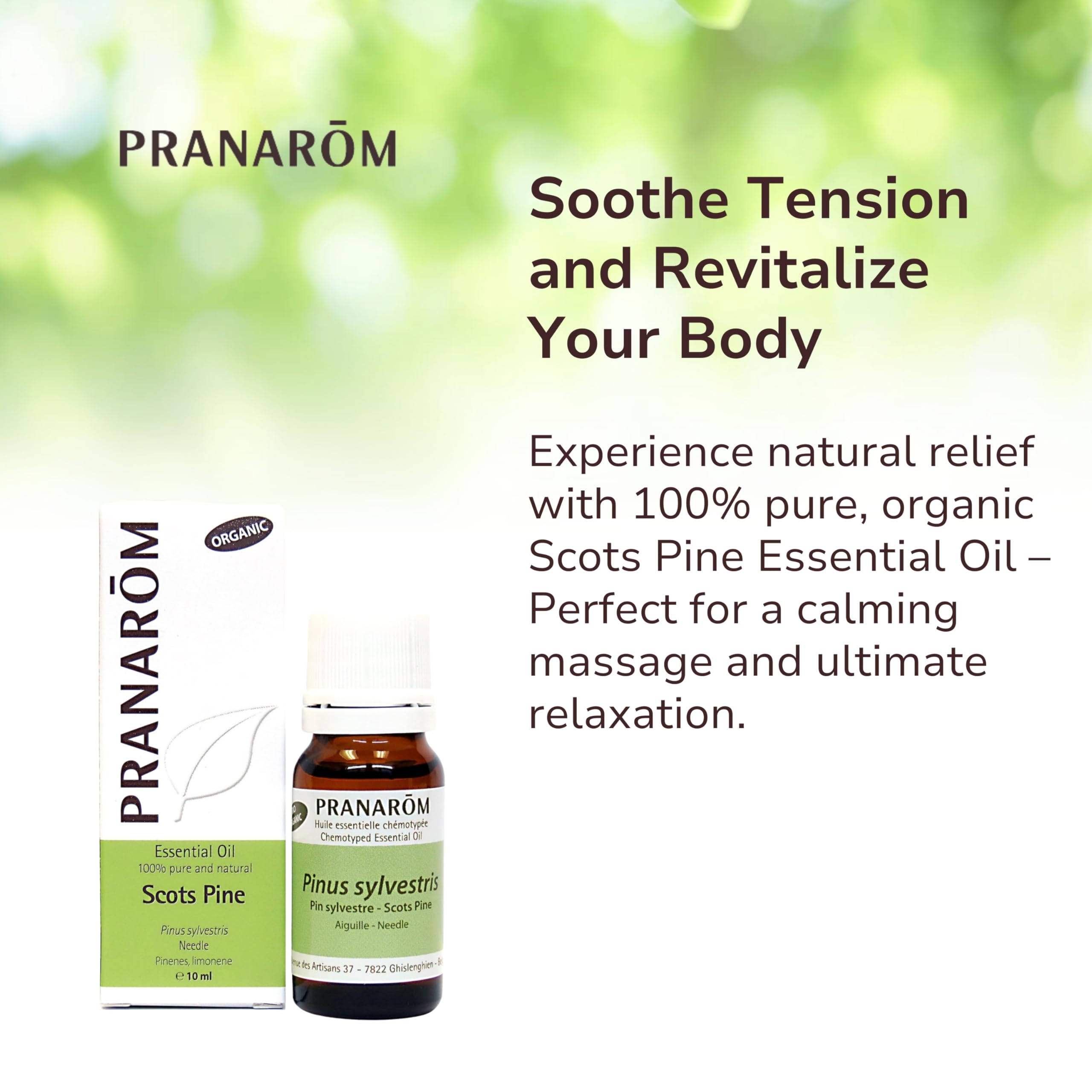 Pranarom Scots Pine Essential Oil, 100% Organic Pinus Sylvestris