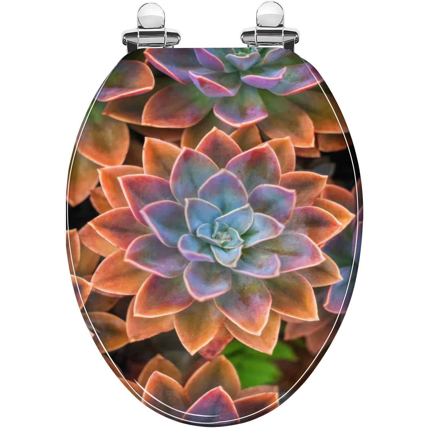 Elongated Toilet Seat Beautiful echeveria succulents arranged on the ground Resin Toilet Seat with Quietly Close Quick Release Hinges Decorative Toilet Seat with Cover Easy to Clean and Install