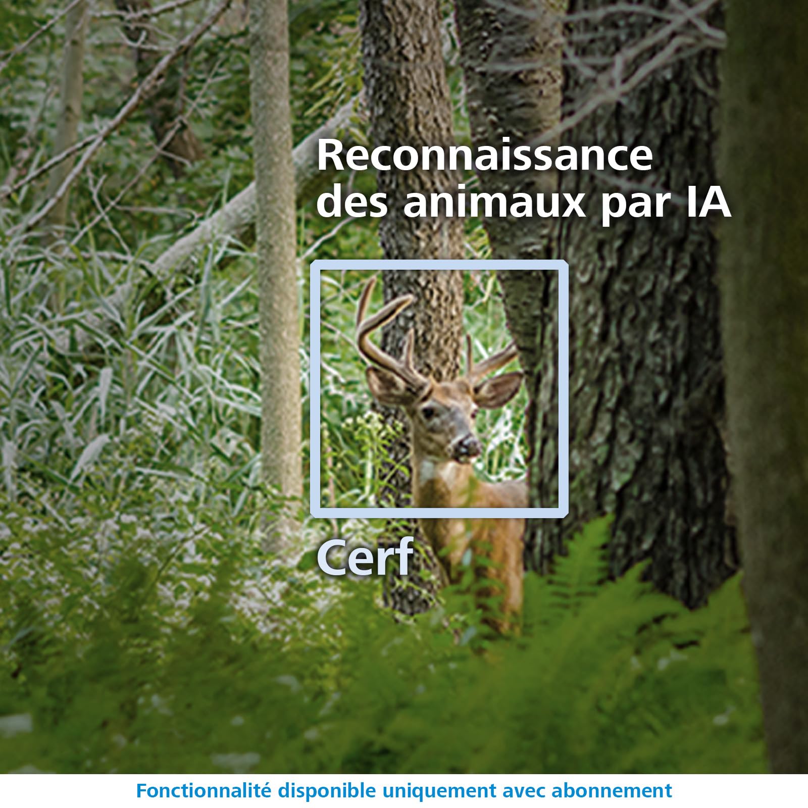 ZEISS Secacam 3-Caméra de Chasse Connectée 4G LTE, SIM, APP, 12MP, HD1080, Détection Infrarouge 20 m, Vision Nocturne, Étanche IP66, Angle 60, 60 LEDs Noires Invisibles, Surveillance Faune
