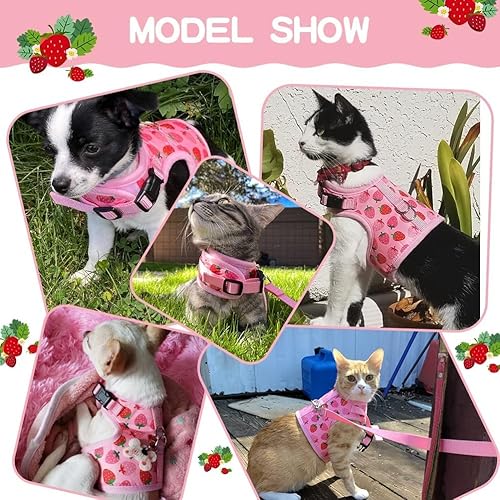 Miniatura 6 de BINGPET Arnés para gatos con correa a prueba de escape arnés de malla de moda para gatos y perros, ajustable para gatitos, cachorros, animales