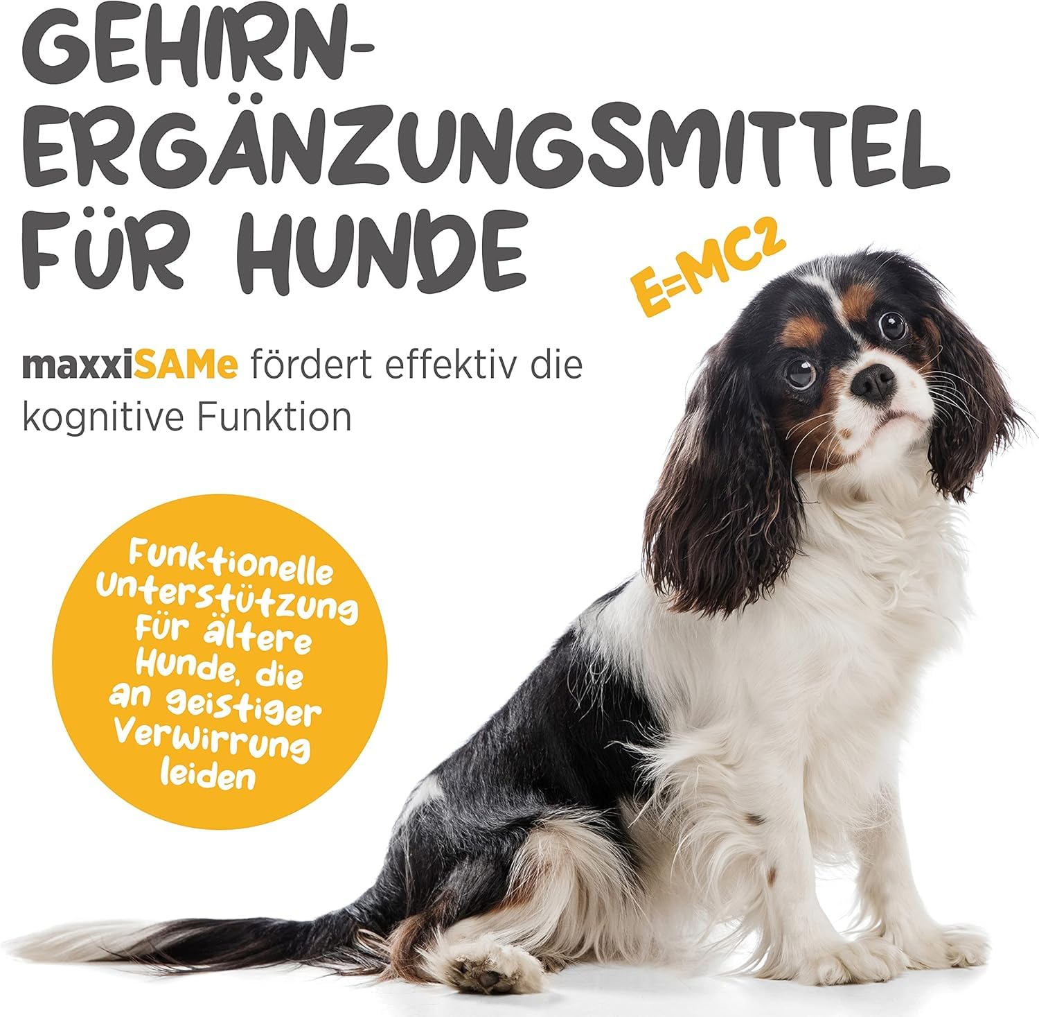 maxxipaws maxxiSAMe Fortschrittliches SAM-e Pulver zur Unterstützung von Leber, Gehirn und Gelenken für Hunde, 150g