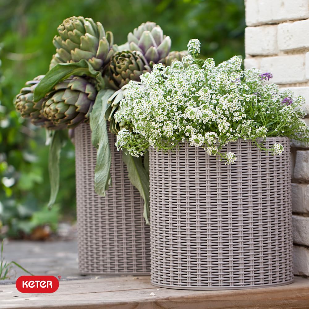 Amazon.com : Keter Cylinder Set of 3 Rattan Resin Planter for Indoor and  Outdoor Plants Ideal Decorative Planter for Porches and Patio Decor, Taupe  : Patio, Lawn & Garden