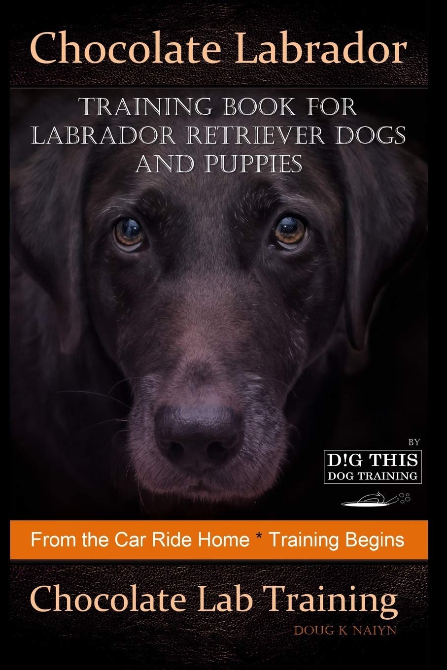 How To Train Your Labrador Retriever Book