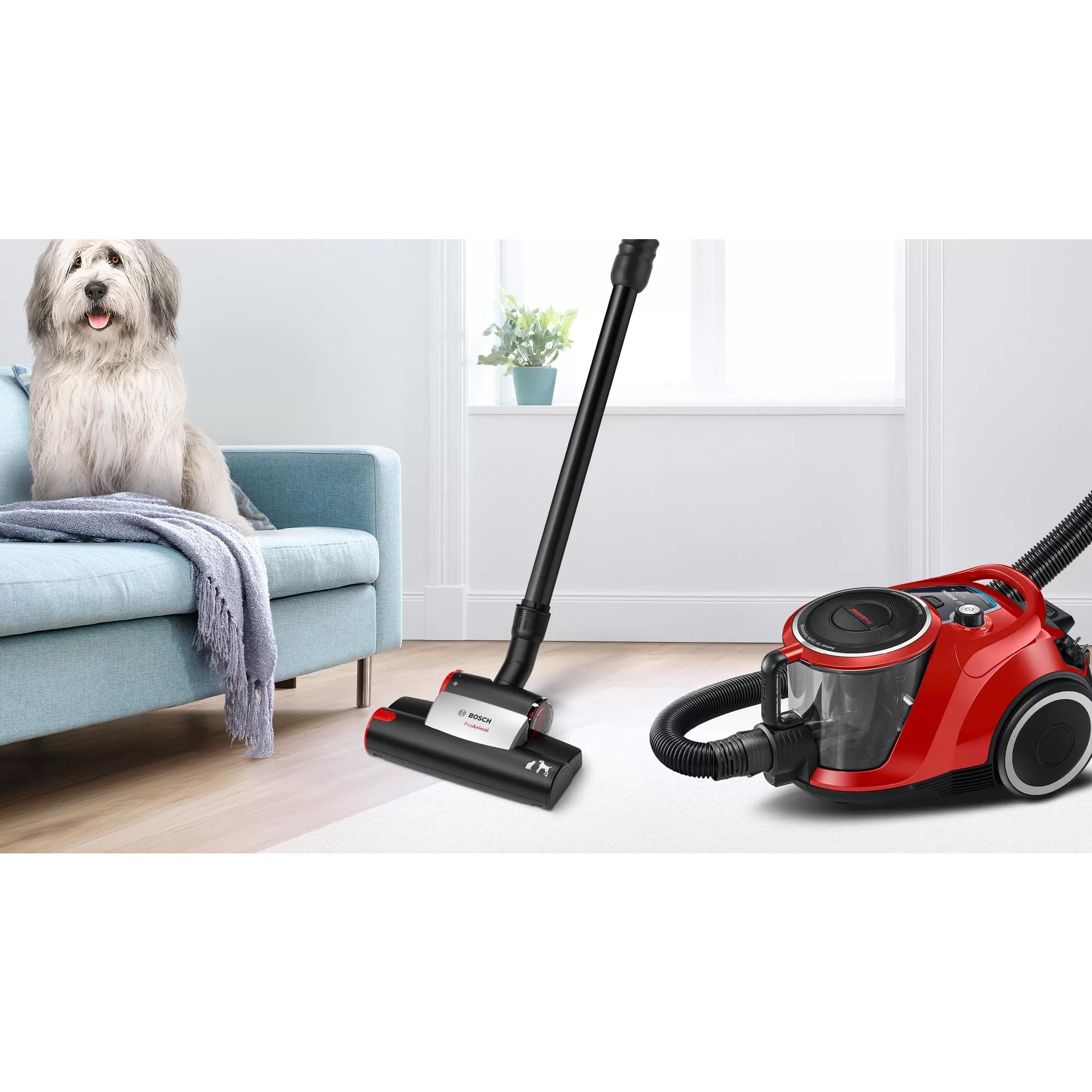 Bosch Aspirapolvere senza sacchetto serie 6 BGC41PET, ideale per peli di animali e persone allergiche, filtro igienico, garanzia motore 10 anni, per parquet, tappeti, piastrelle, ugello turbo