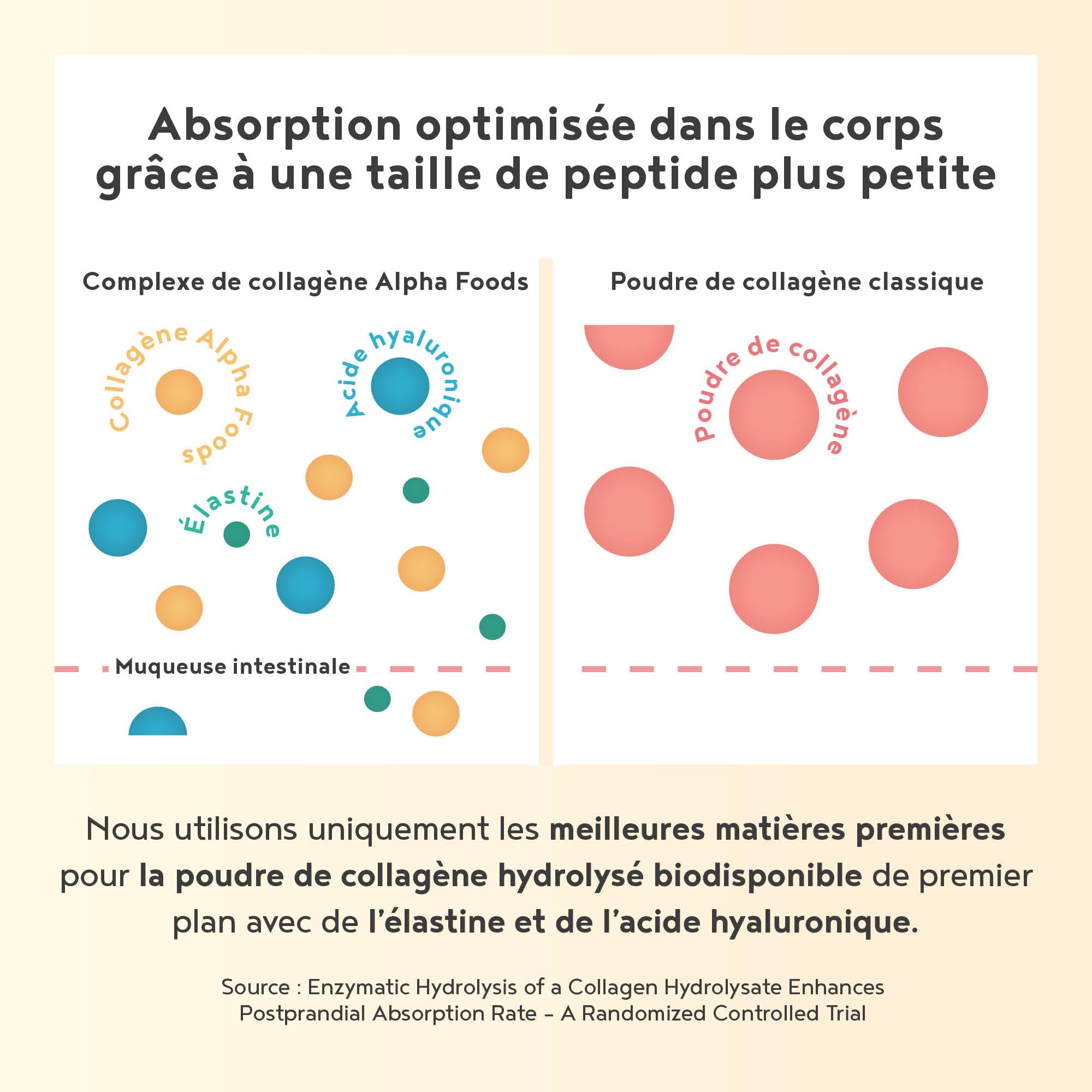 Peptide De Collagene Poudre Type I, II & III + Élastine Marin + Acide Hyaluronique - Collagène Hydrolysé en Poudre Facile à Dissoudre - Chocolat - Alpha Foods