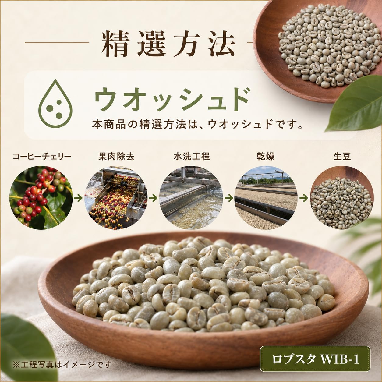 Amazon.co.jp: コーヒー生豆 インドネシア ロブスタ WIB-1