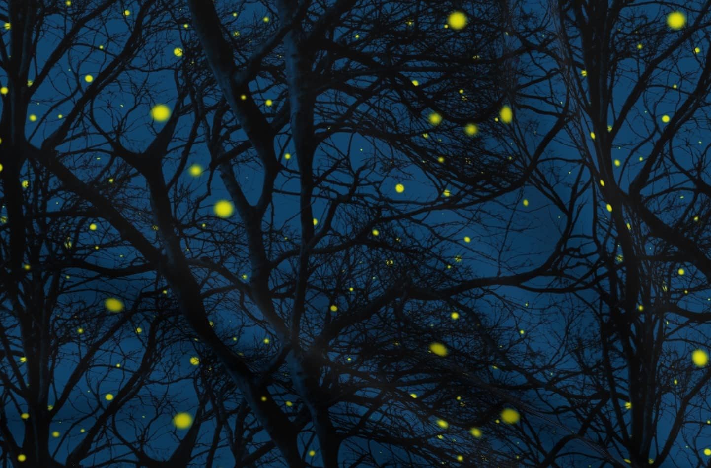 Spoonflower Fabric - Summer Magic Fireflies Trees Lightning Bug Blue Chartreuse Tree Printed on Organic Cotton Sateen Fabric by The Yard - Sewing Quilting Apparel Home Decor